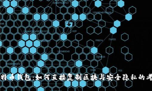 比特币钱包：如何直接复制区块与安全隐私的考量