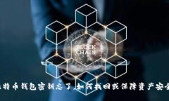 比特币钱包密钥忘了，如何找回或保障资产安全