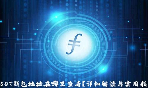 
USDT钱包地址在哪里查看？详细解读与实用指南