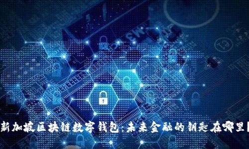 新加坡区块链数字钱包：未来金融的钥匙在哪里？