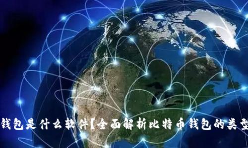 比特币钱包是什么软件？全面解析比特币钱包的类型与功能