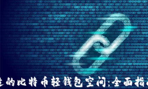 
如何选择合适的比特币轻钱包空间：全面指南与使用技巧