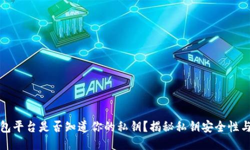 区块链钱包平台是否知道你的私钥？揭秘私钥安全性与保护措施