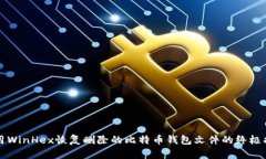 利用WinHex恢复删除的比特