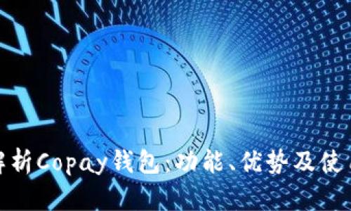全面解析Copay钱包：功能、优势及使用体验