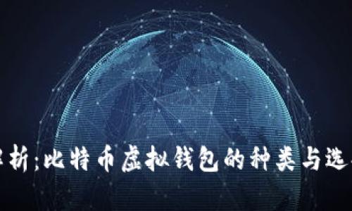全面解析：比特币虚拟钱包的种类与选择指南