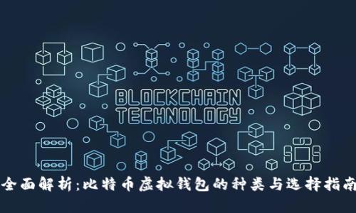 全面解析：比特币虚拟钱包的种类与选择指南