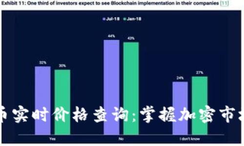 虚拟币实时价格查询：掌握加密市场脉搏