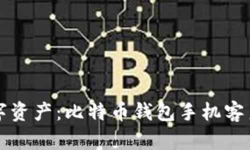 轻松掌控你的数字资产：比特币钱包手机客户端的全方位指南