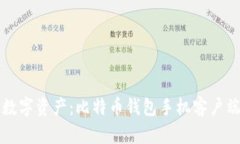 轻松掌控你的数字资产：比特币钱包手机客户端