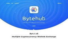 国内比特币钱包使用指南