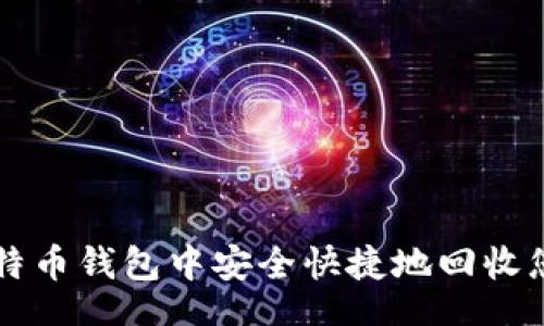 bianwei
如何在比特币钱包中安全快捷地回收您的比特币
