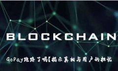 GoPay跑路了吗？揭示真相与