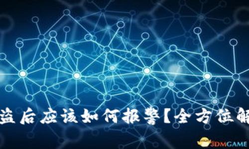 虚拟币钱包被盗后应该如何报警？全方位解析与实用建议