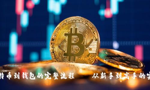 定投比特币到钱包的完整流程——从新手到高手的实用指南