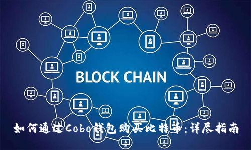 如何通过Cobo钱包购买比特币：详尽指南