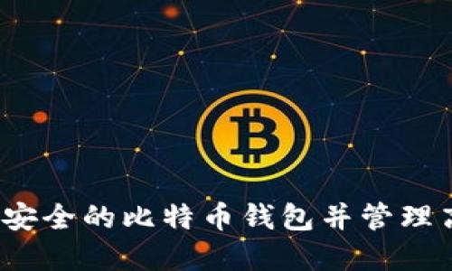 如何创建安全的比特币钱包并管理高额资产？