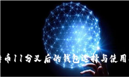 比特币11分叉后的钱包选择与使用指南