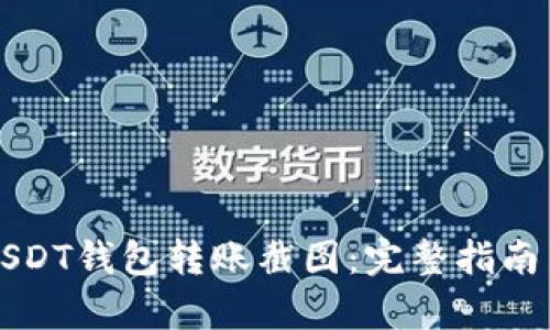 如何生成USDT钱包转账截图：完整指南与步骤解析