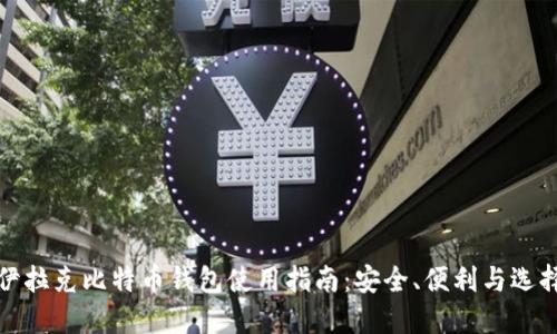 伊拉克比特币钱包使用指南：安全、便利与选择