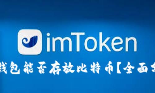 Token.im钱包能否存放比特币？全面分析与解读