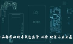 全面解析比特币钱包监管