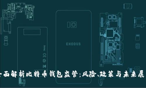 全面解析比特币钱包监管：风险、政策与未来展望