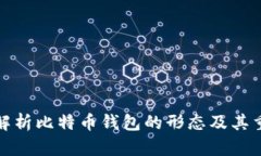 全面解析比特币钱包的形