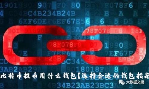 比特币提币用什么钱包？选择合适的钱包指南