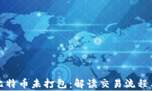 
钱包转出比特币未打包：解读交易流程与注意事项