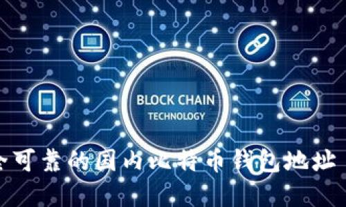 如何选择安全可靠的国内比特币钱包地址 – 完整指南