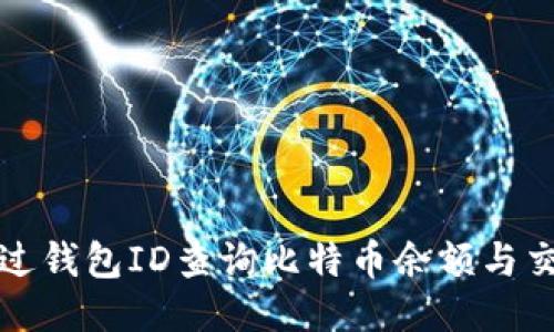 如何通过钱包ID查询比特币余额与交易记录