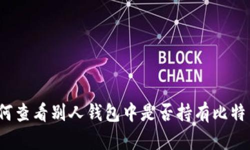 如何查看别人钱包中是否持有比特币？