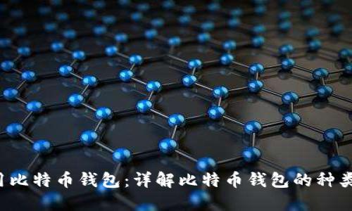 如何选择和使用比特币钱包：详解比特币钱包的种类、功能与安全性