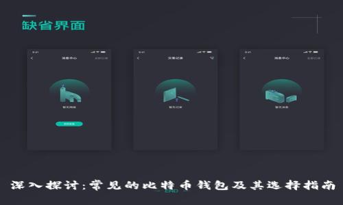 深入探讨：常见的比特币钱包及其选择指南