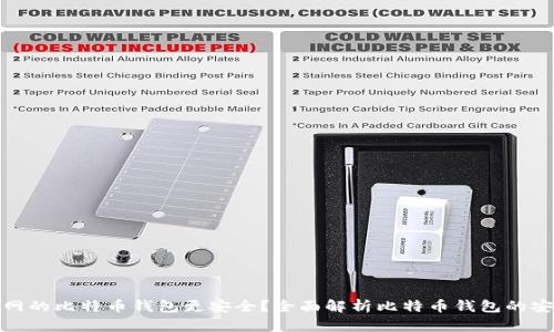 哪个网的比特币钱包更安全？全面解析比特币钱包的安全性