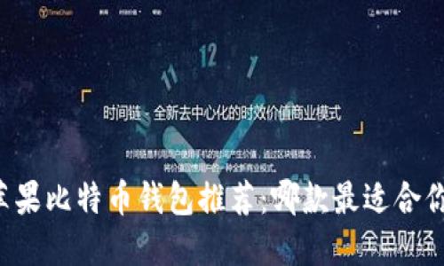 苹果比特币钱包推荐：哪款最适合你？